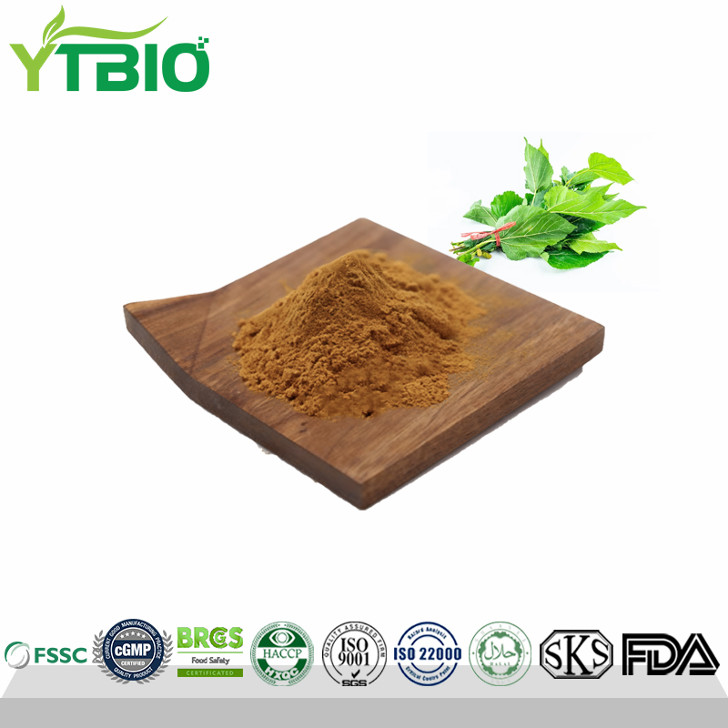 Premium Mulberry Leaf Extract Powder Manufacturer