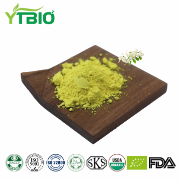 Factory Supply 153-18-4 Rutin 98% Powder
