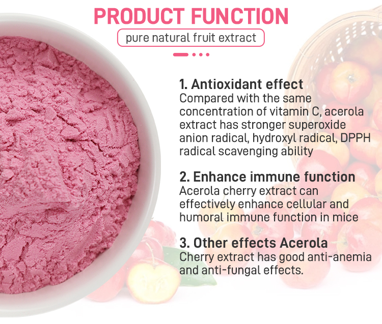 acerola-cherry-powder_05