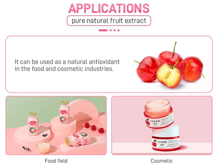 acerola-cherry-powder_06