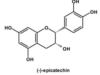 catechin-2
