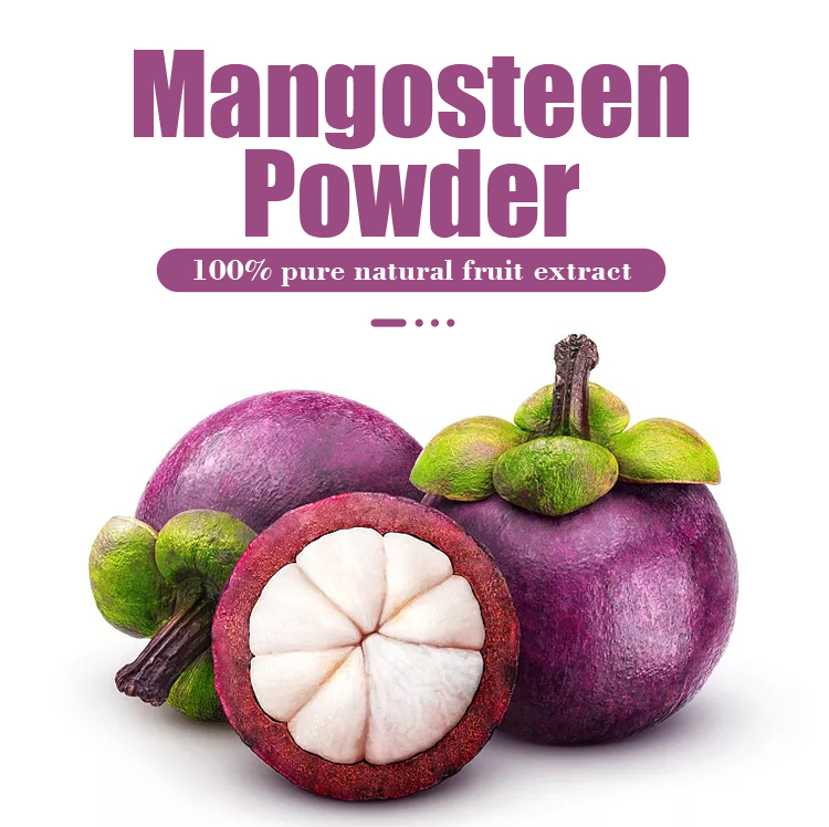 mangosteen-powder_01