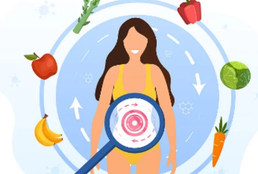 metabolismo