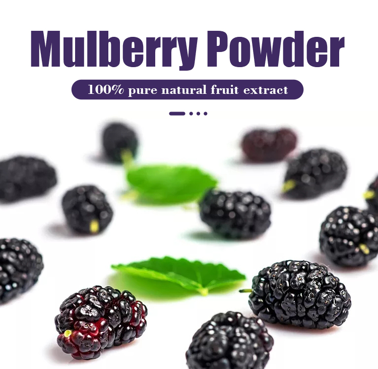 mulberry-powder_01