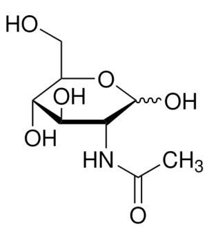 n-acetyl-d-glucosamine-1