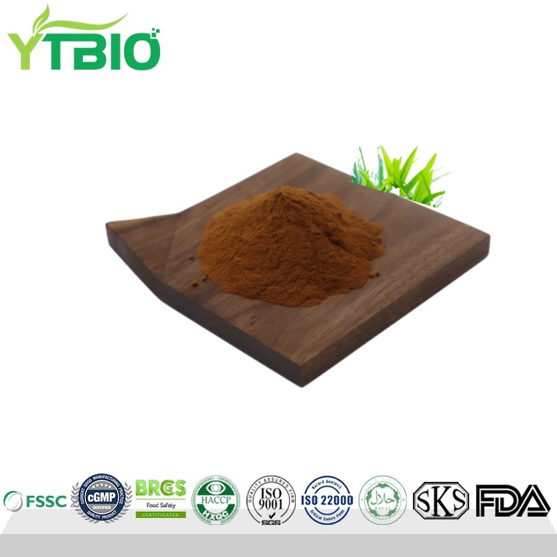 Premium Pandan Leaf Extract Powder Manufacturer