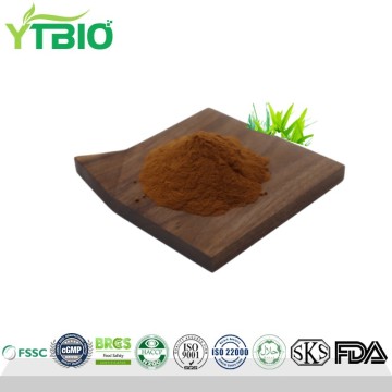 Premium Pandan Leaf Extract Powder