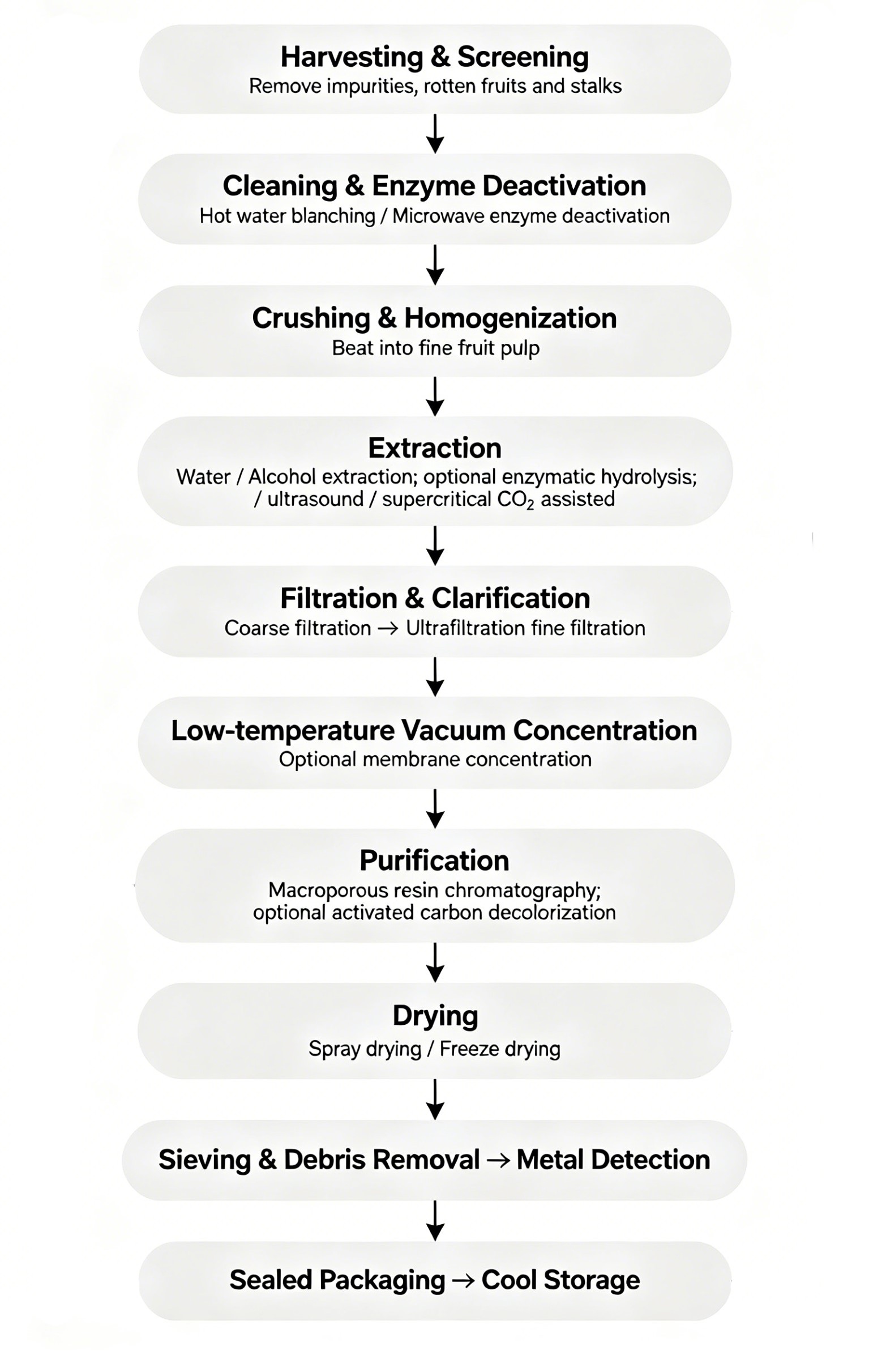 production-process-of-mulberry-extract