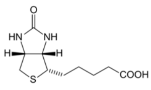 biotin-1