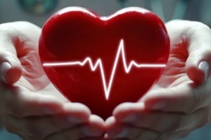 cardiovascular-health-2