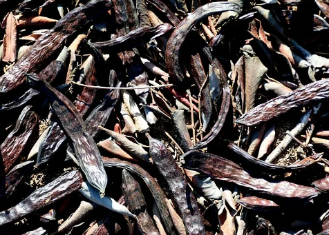 What is Locust Bean Gum Powder and How is it Used?