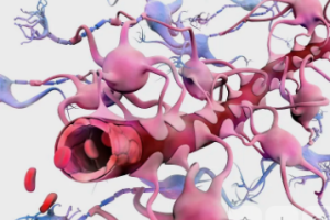 x-blood-brain-barrier