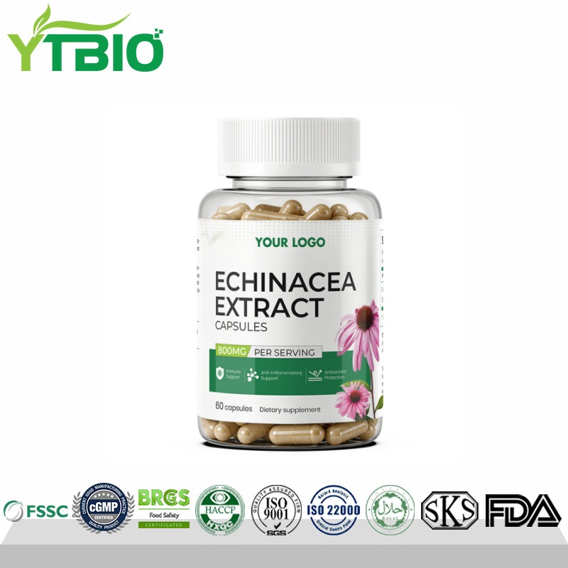 Bulk Supply Echinacea Extract Capsules| OEM Private Label