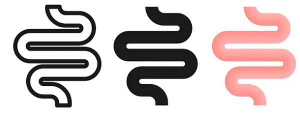 肠道(2).png
