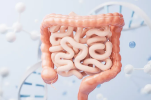 intestines