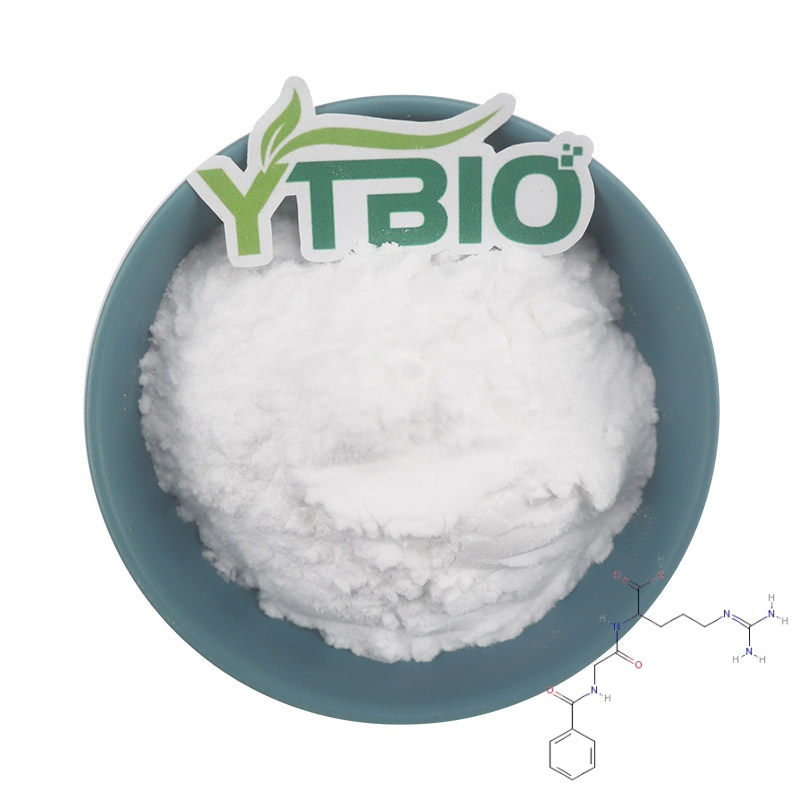 Why Is L-Arginine Popular Among Global Dietary Supplement Manufacturers?
