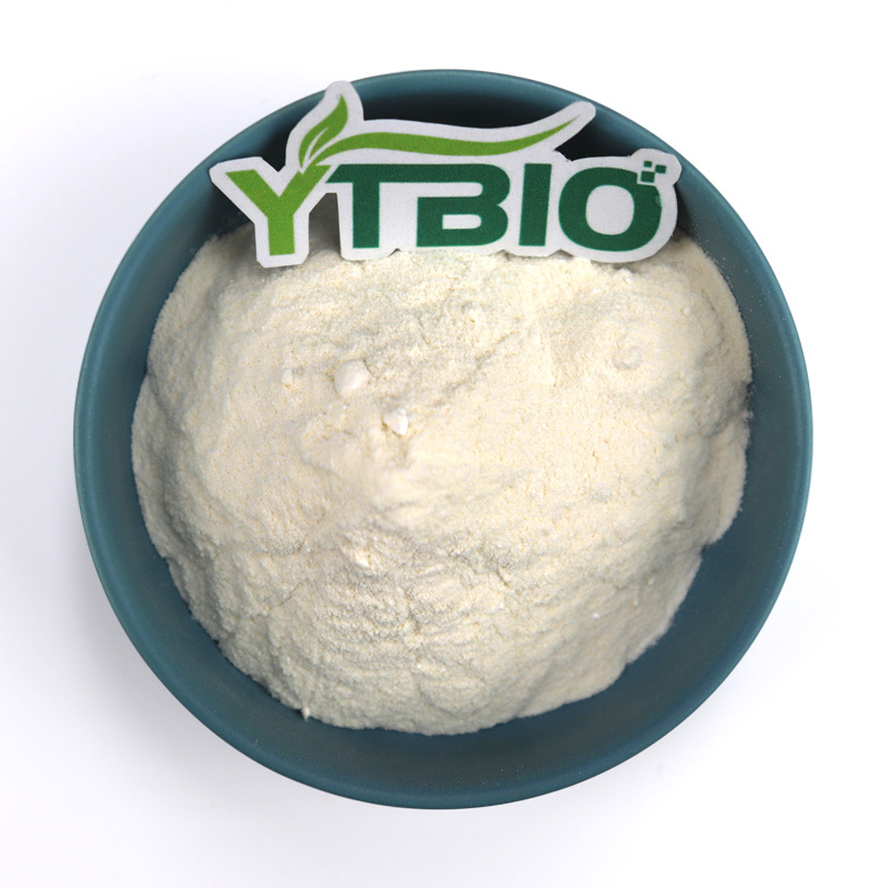 Chondroitin Sulfate: A Key Nutrient for Long-Term Bone Health Maintenance
