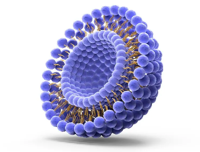 How to Choose the Best Liposomal Vitamin C for Your Needs?