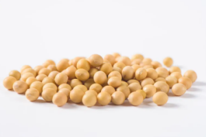 soybeans.png