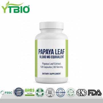 High Potency Papaya Leaf Extract Capsules 1200mg Per Serving | OEM Private Label