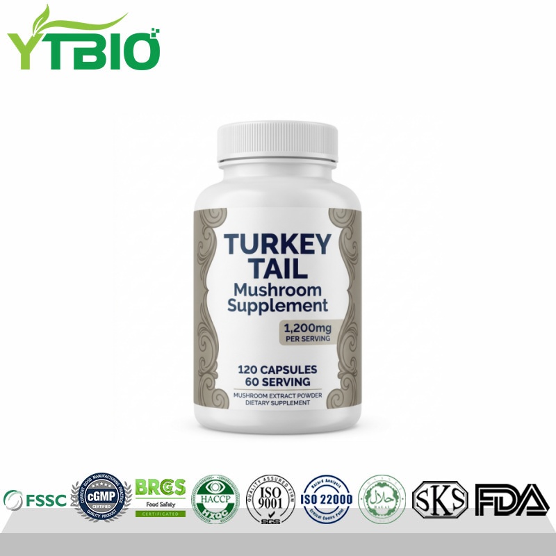 Private Label Turkey Tail Mushroom Capsules| OEM Manufacturer