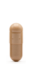 カプセルサイズ2
