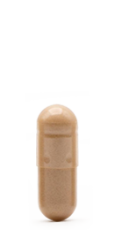 カプセルサイズ4