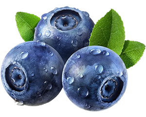 Blaubeere