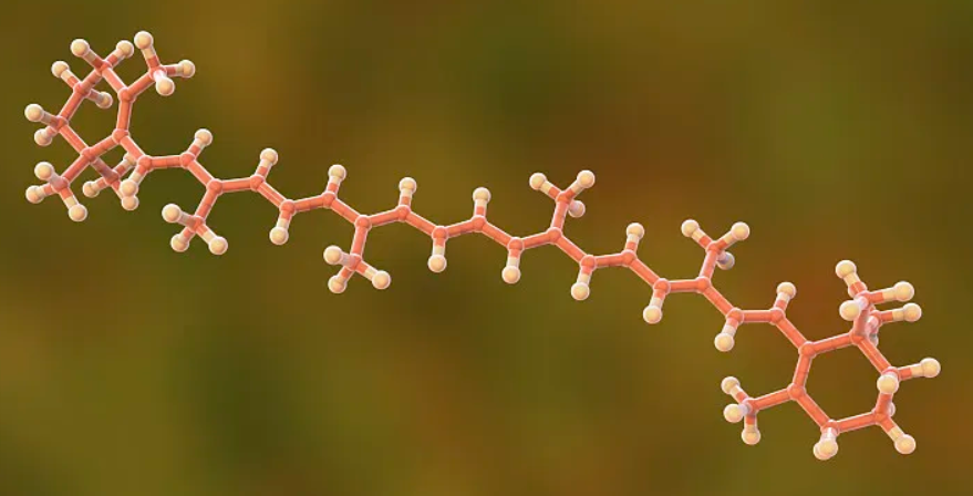 What is Beta Carotene Powder Benefits and Uses?