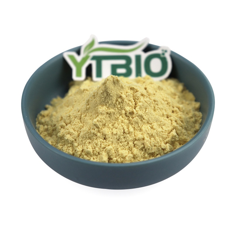 Kaempferol: Ein natürliches Flavonoid mit antioxidativen Vorteilen für Gesundheit und Wohlbefinden