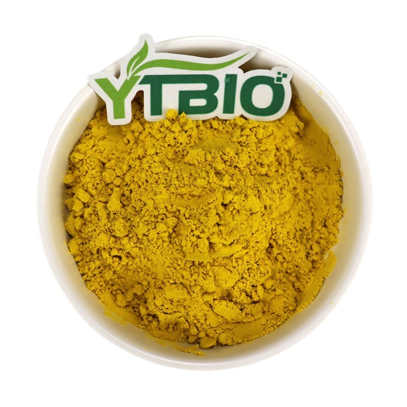 Kaempferol, a Natural Flavonoid: How It Supports Neurological Health