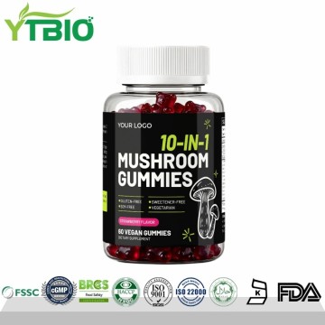 YTBIO Supply 10-in-1 Mushroom Gummies | OEM Manufacturer
