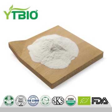 L-Carnitine 98% Powder