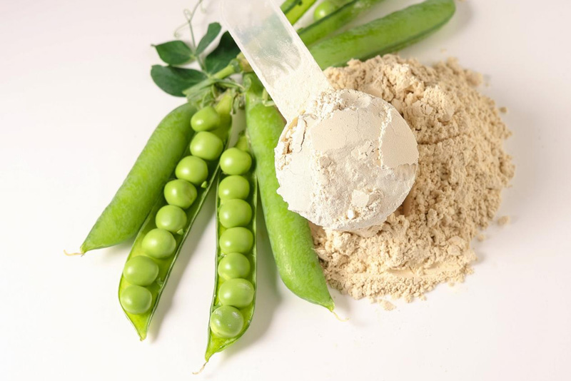 About organic pea protein