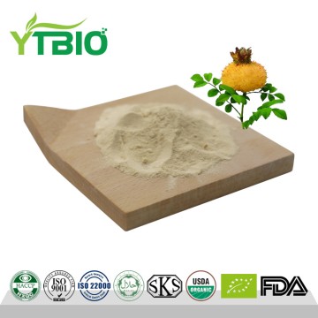 Purely Natural Roxburgh Rose Extract Powder