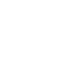 Flight Control System