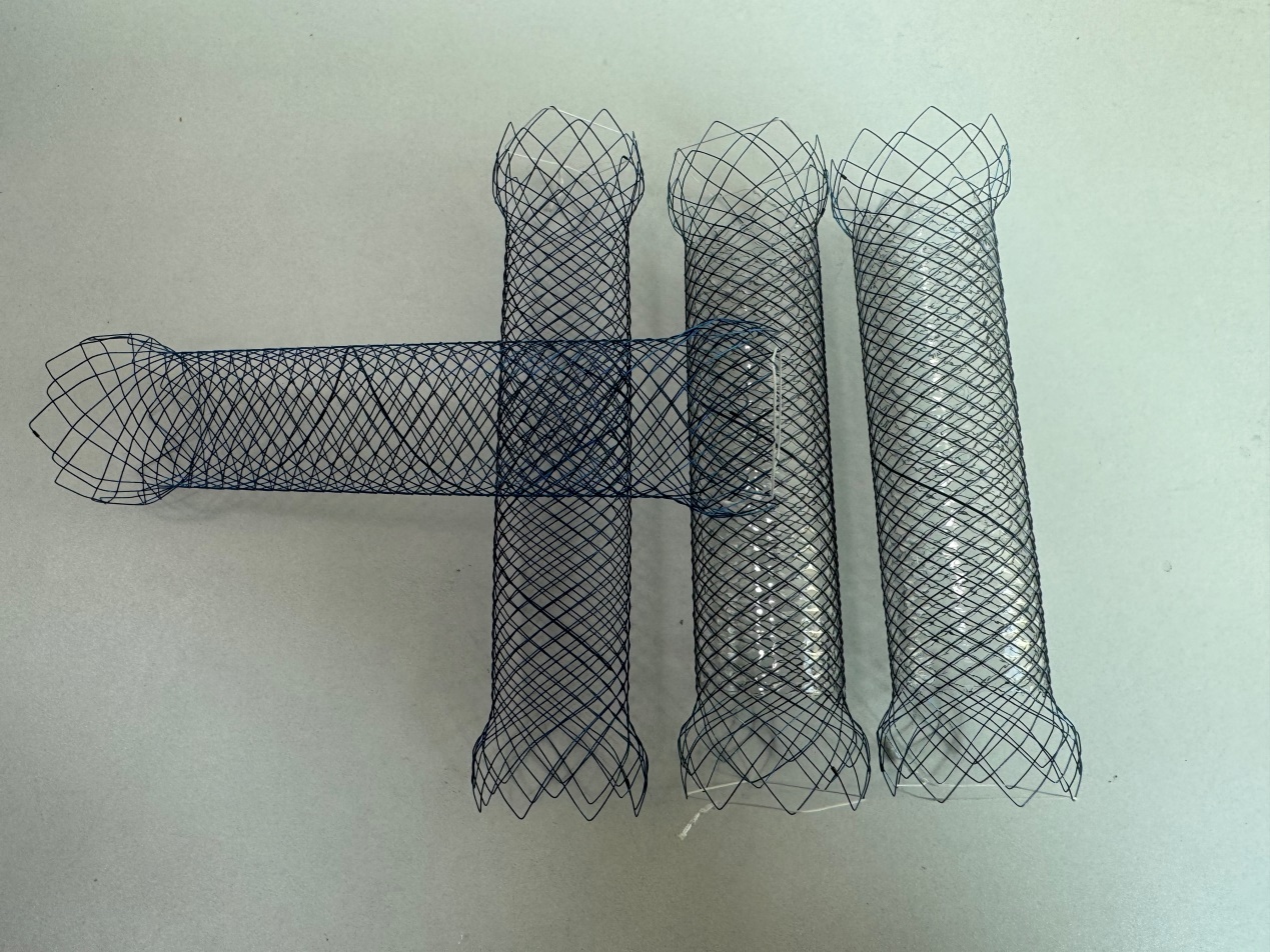 Intestinal stent