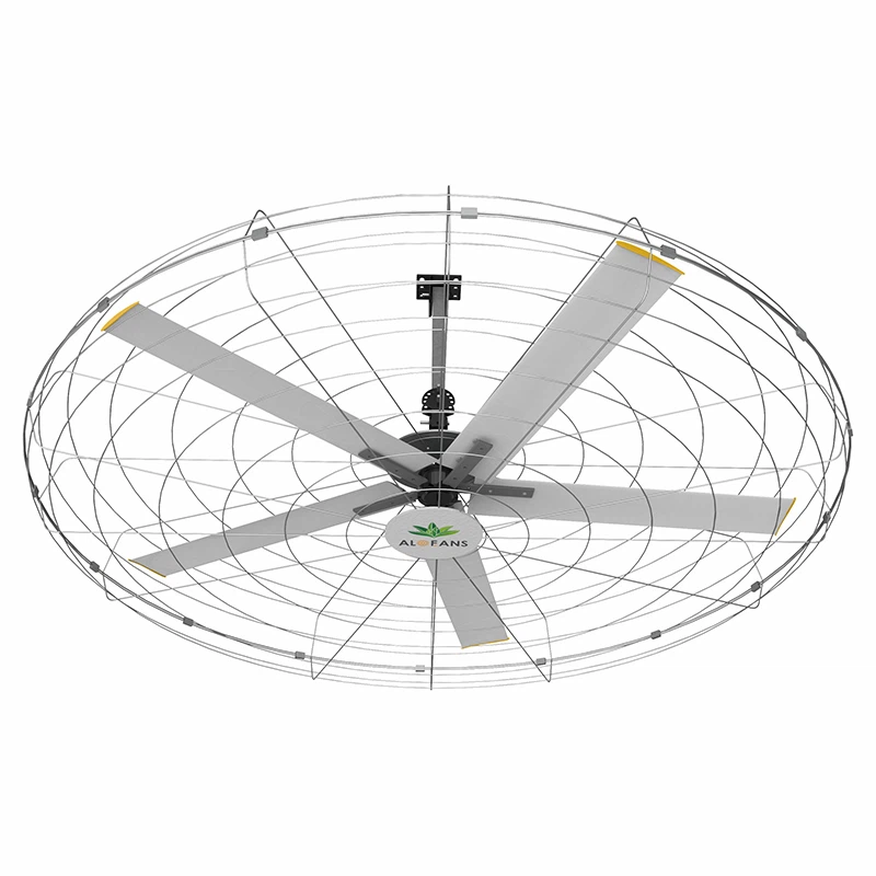 Fitness Wall Fans - Efficient Airflow Solutions for Enhanced Gym and Workout Comfort
