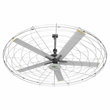 Fitness Wall Fans - Efficient Airflow Solutions for Enhanced Gym and Workout Comfort