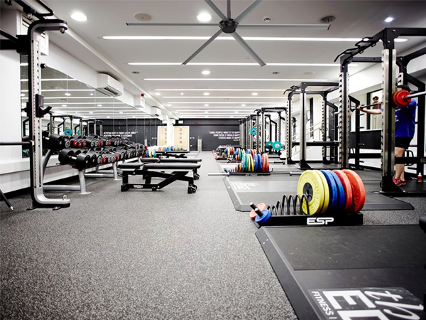 Gimnasios y centros de fitness
