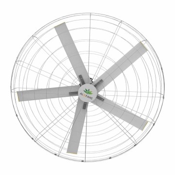 Industrial Wall Fans - Durable and Efficient Airflow Solutions for Industrial Spaces