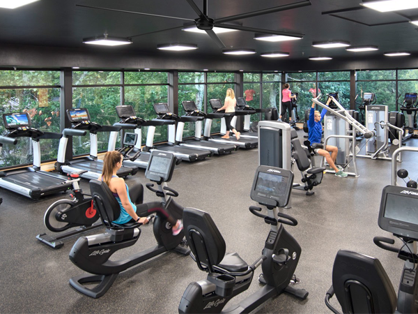 Estudios de spinning