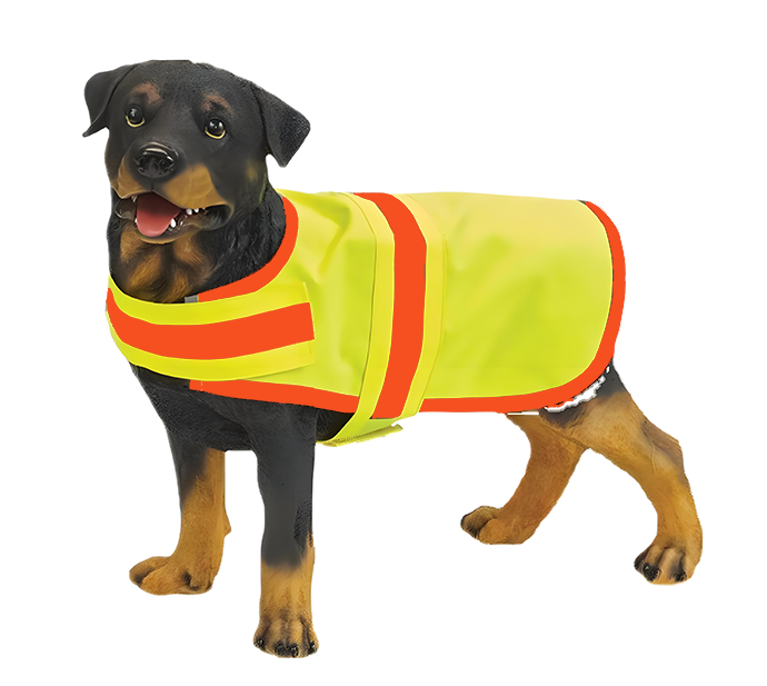 Pet Accessories