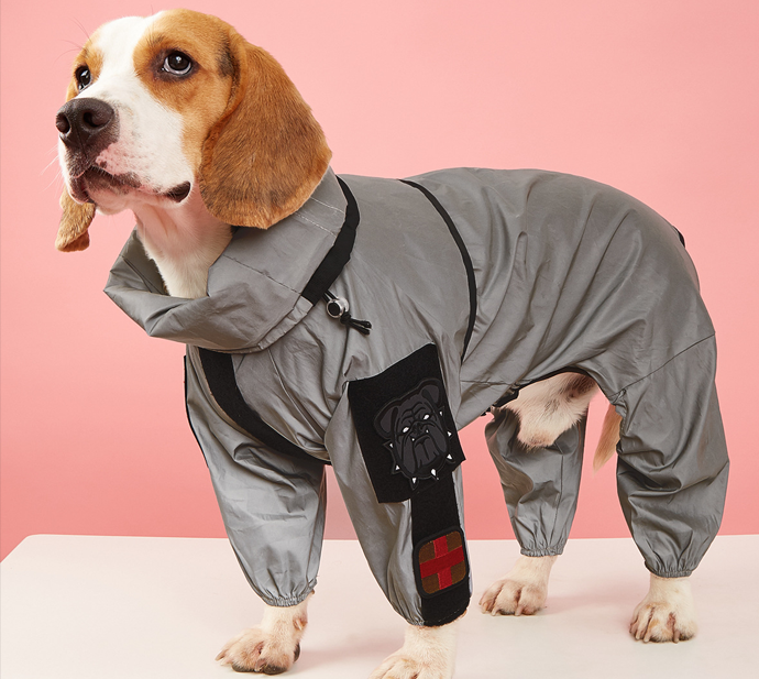 Pet Accessories