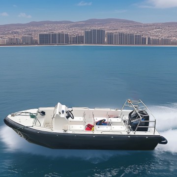 5.5m Fiberglass Multi-Role Patrol Rescue Speed boat 6 Passenger Fishing/Sports Boat