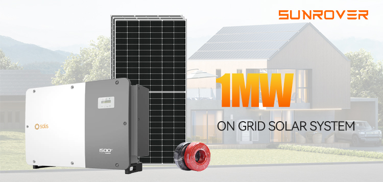 1MW