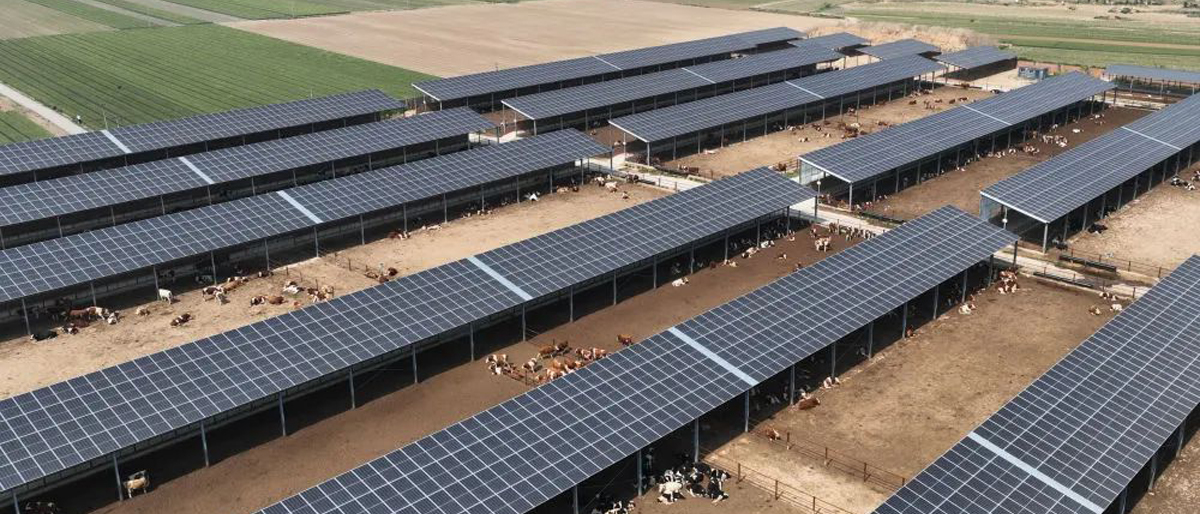 内容页_1200x514.jpg