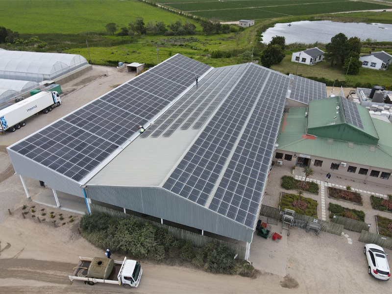 China iliongeza 11GW ya uwezo mpya wa PV mwezi Julai, chini ya 48% mwaka hadi mwaka