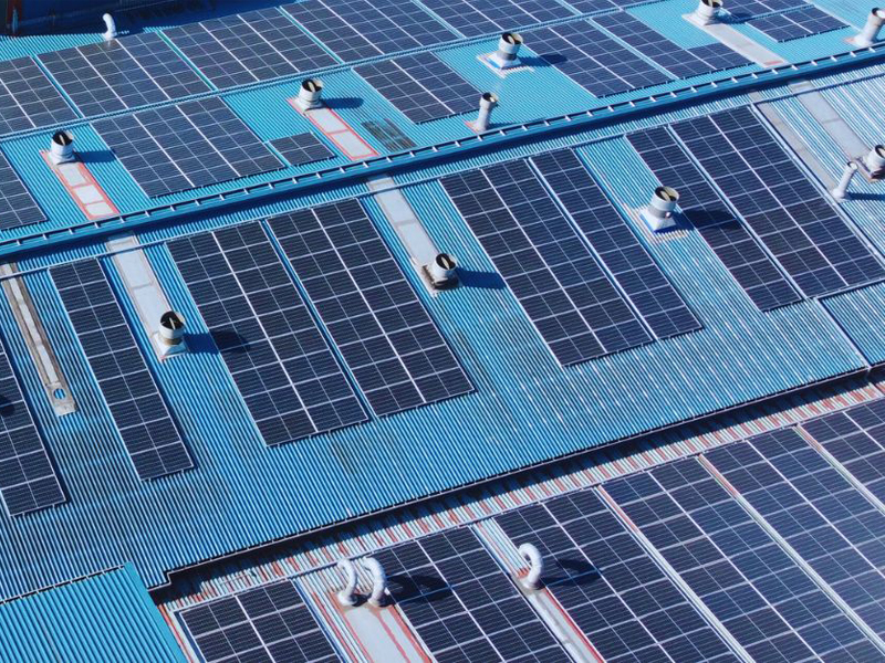 Solar saving EU ‘millions a day’ since outbreak of Middle East war