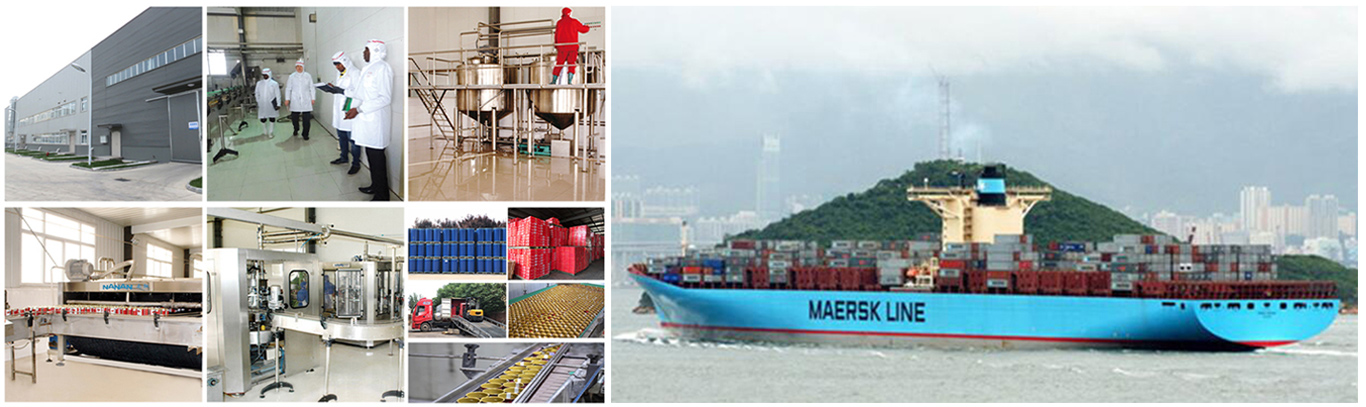 Manufacture-best-tomato-paste-brands-canned-tomato-paste-28-30%-brix-tomato-paste-2200g03_04e73